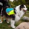 Bunter Hund: Warnwesten für Hunde mit Geschirr - verschiedene Größen