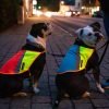 Bunter Hund: Warnweste für Hunde mit Halsband -oder Geschirr  - ABVERKAUF