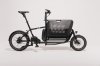 e-muli "st" Shimano Steps 504 Wh Nexus 5GG nightride